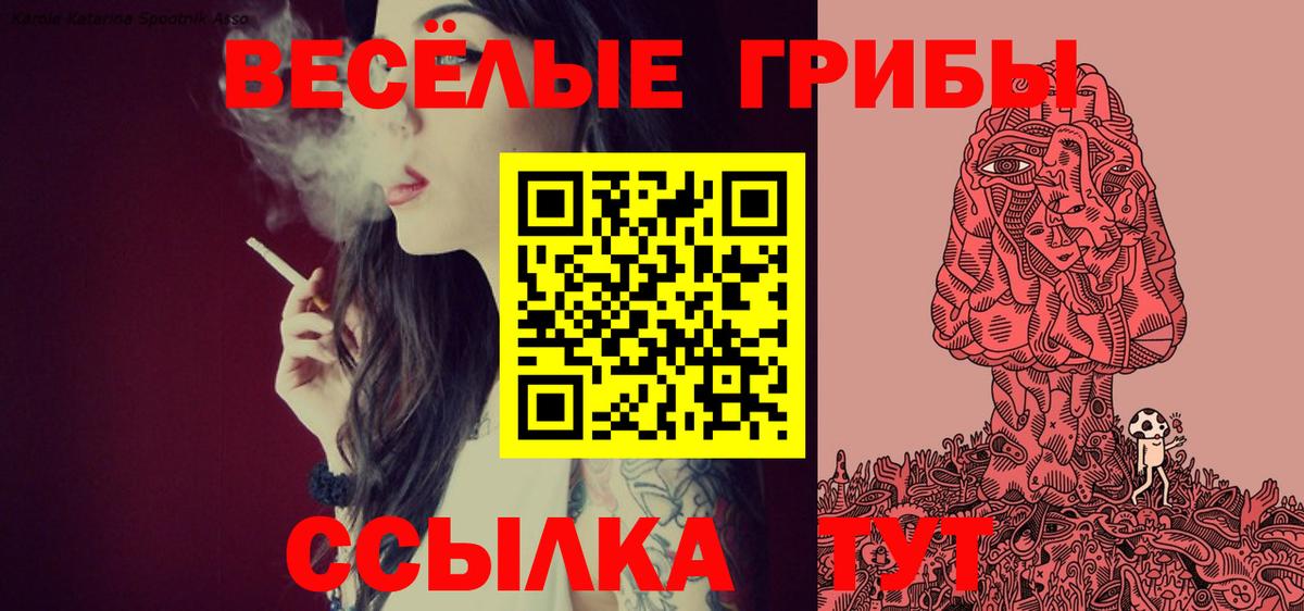 Егорьевск  Псилоцибиновые грибы Cubensis  Вход с VPN  Галлюциногенные грибы Psilocybe 